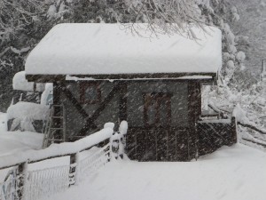 ななハウス・雪